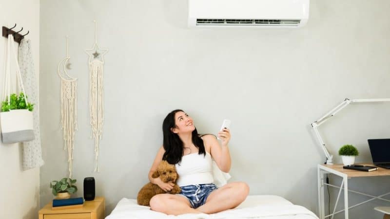 Climatiseur fixe ou mobile : lequel choisir pour une efficacité optimale ?